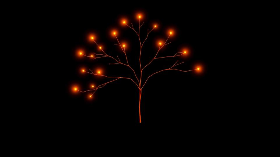 Probability Trees
